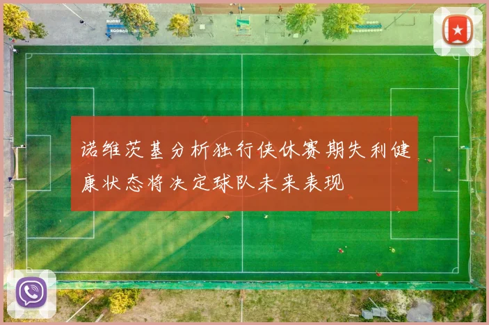 诺维茨基分析独行侠休赛期失利健康状态将决定球队未来表现