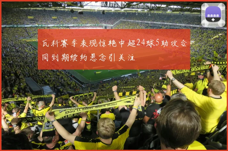 瓦科赛季表现惊艳中超24球5助攻合同到期续约悬念引关注