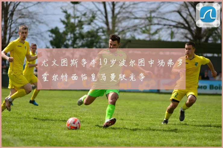 尤文图斯争夺19岁波尔图中场弗罗霍尔特面临皇马曼联竞争